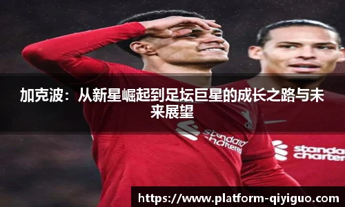 奇异果体育平台